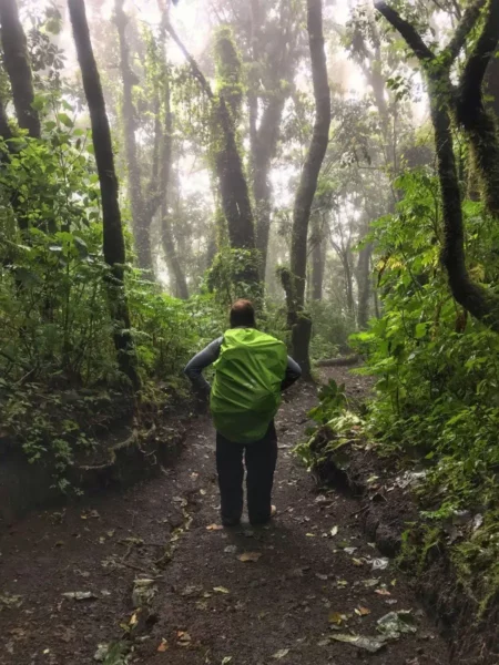 hiker with bright green backpack cover blending with vegetation in the jungle
