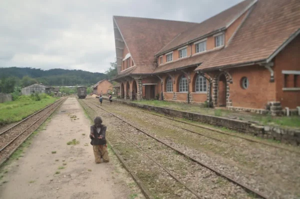 Andasibe Village, Madagascar (2023) - Photos