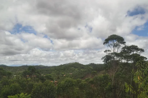 View from Mantadia Lodge andasibe madagascar