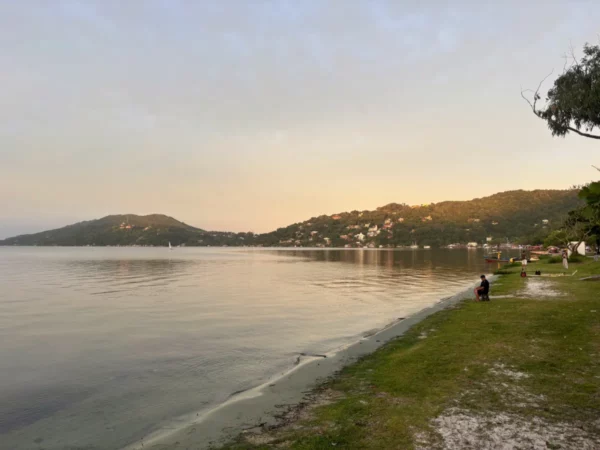 Grassy beach on the lagoa da conceicao south shore