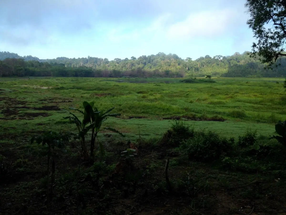 Photos: Cat Tien National Park, Dong Nai, Vietnam (2016)