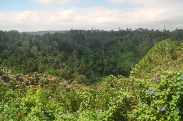 Vue du cratère verdoyant du Trou aux Cerfs, près de Curepipe