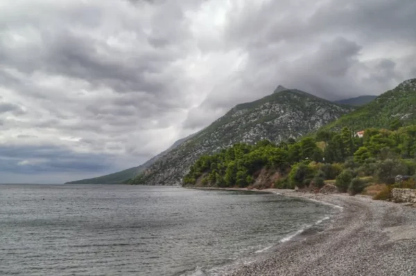 Παραλία Δάφνη, Εύβοια - Γενικές Πληροφορίες