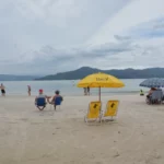 Chilling at Daniela Beach in florianopolis