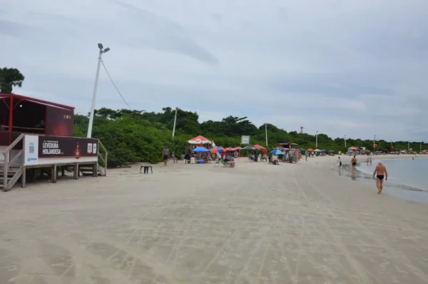 Walking along daniela beach in floripa