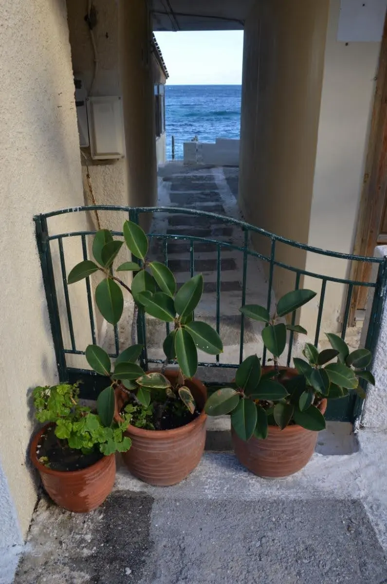 beautiful view of the blue aegean sea down a narrow alley with plant pots at korasida beach of evia