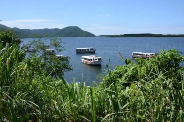 Uma vista da Lagoa da Conceição e barcos de passageiros parados ao longo da trilha da Costa da Lagoa