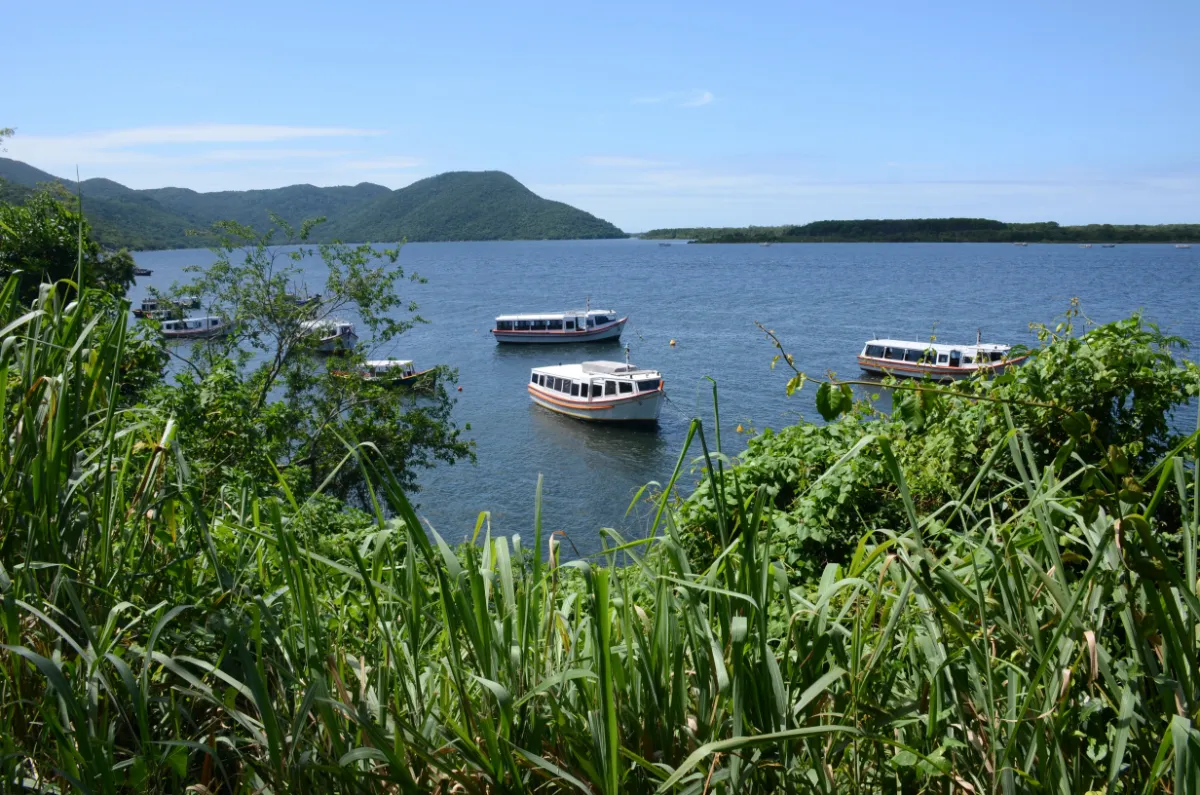 A view of Lagoa da Conceição and idle passenger boats along the hiking trail of costa da lagoa