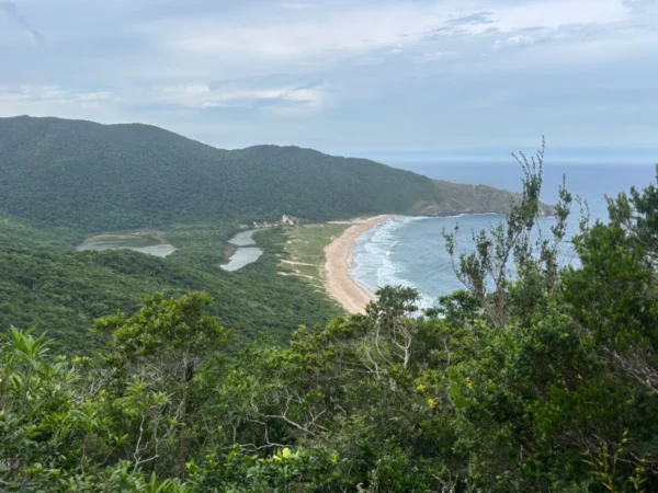 Primeira vista da Praia Lagoinha do Leste sobre as copas da Mata Atlântica da Ilha de Santa Catarina