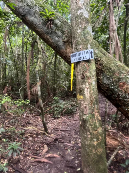 Bifurcação para o mirante do Morro da Caroa com vista para a Praia Lagoinha do Leste