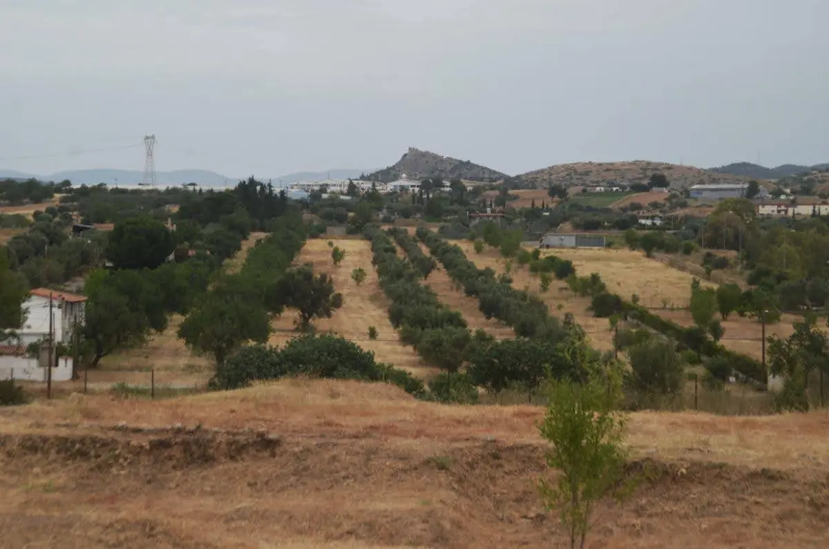 The archeological site of Lefkandi and the Castle of Fylla in the background