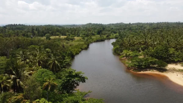 mahambo madagascar river mouth