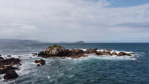 Marveling at the open ocean from punta das campnhas far coast in armacao, ilha de santa catarina