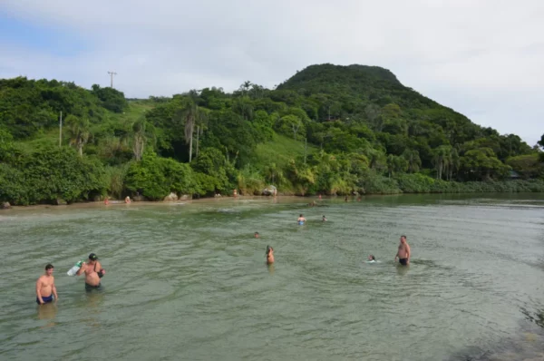 The river separating the beaches of armacao and matadeiro in santa catarina island