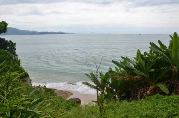 Serene view of florianopolis bay from the fort hill of sao jose