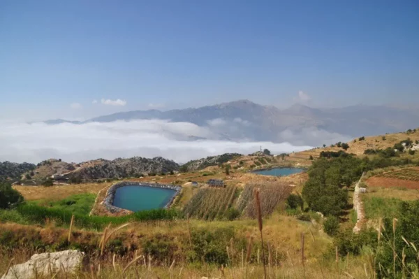 Qehmez, Lebanon (2023) - Photos