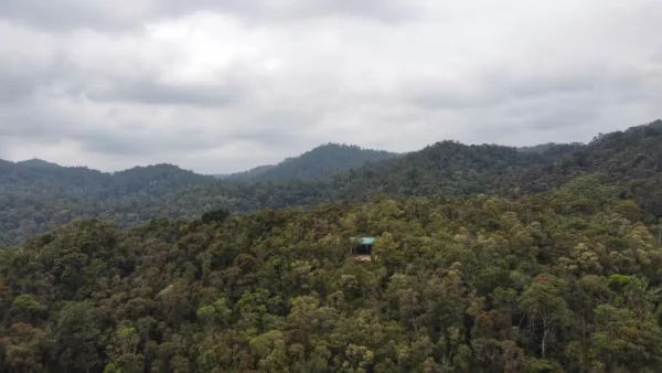 ranomafana drone view