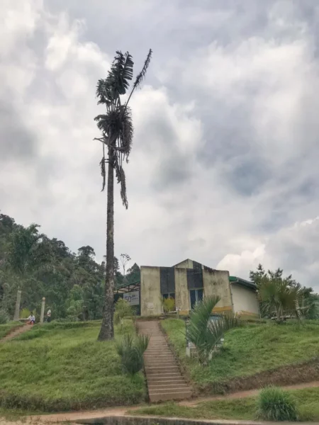 ranomafana national park entrance