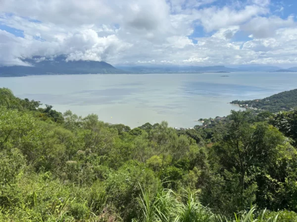Vista da baía de Florianópolis a partir de uma encosta verdejante na Ilha de Santa Catarina