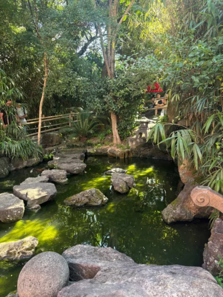 Serene pond in the oriental garden of sao paulo