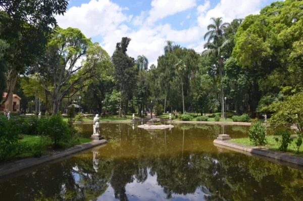 wide pond in Parque Jardim da Luz in sao paulo