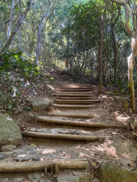 Trilha sombreada por árvores, com degraus rústicos de madeira em meio à mata atlântica no caminho para o Morro da Urca, no Rio de Janeiro
