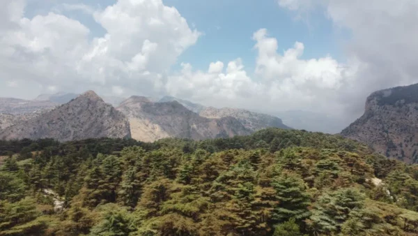 Tannourine Cedar Reserve, Lebanon (2023) - Photos