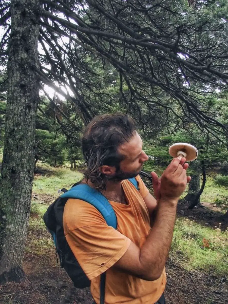 tour guide on evia island inspecting a mushroom during a hike in agali gorge