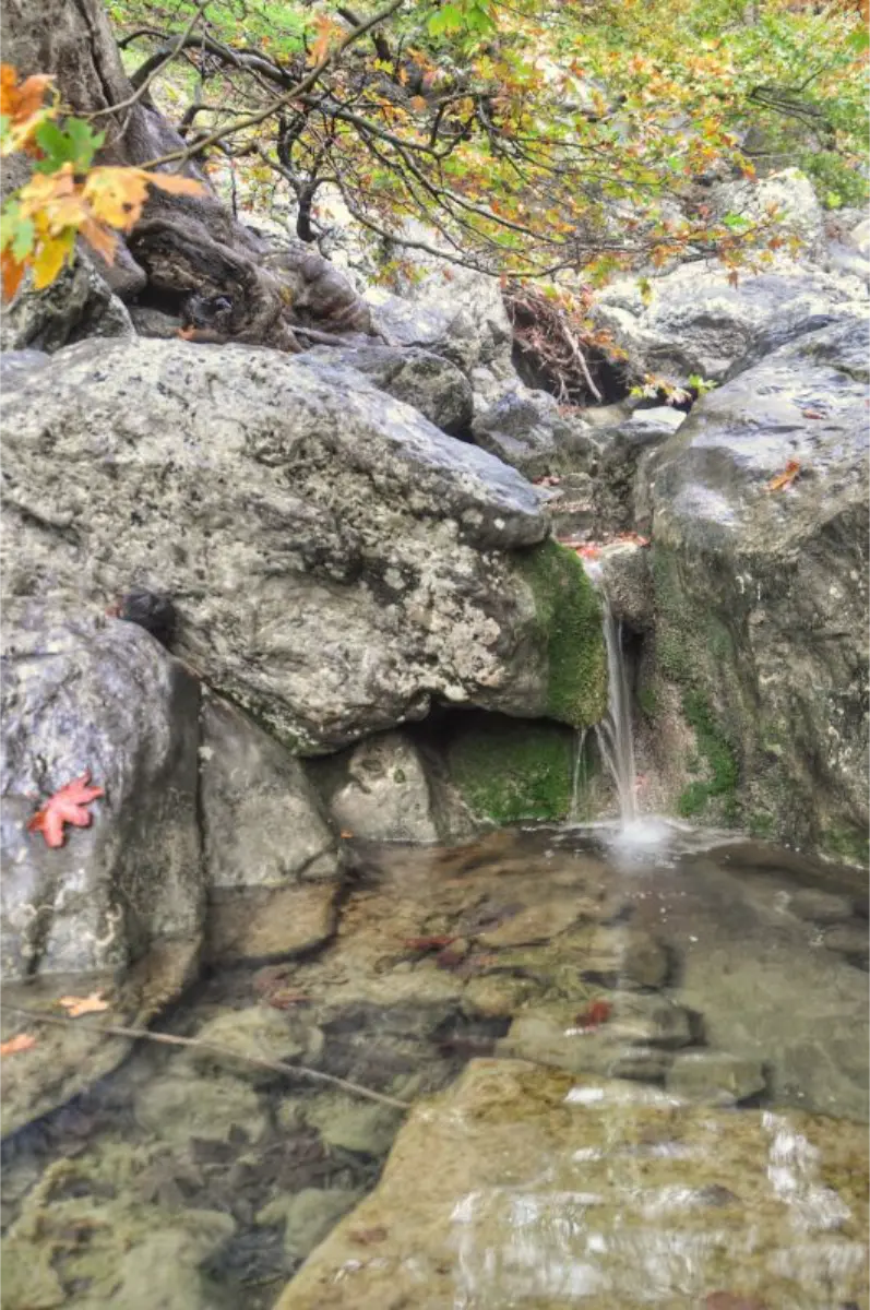 arkoudovrysi spring in agali gorge
