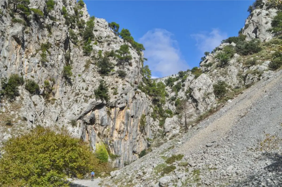 tall vertical Gorge walls in agali gorge of evia island
