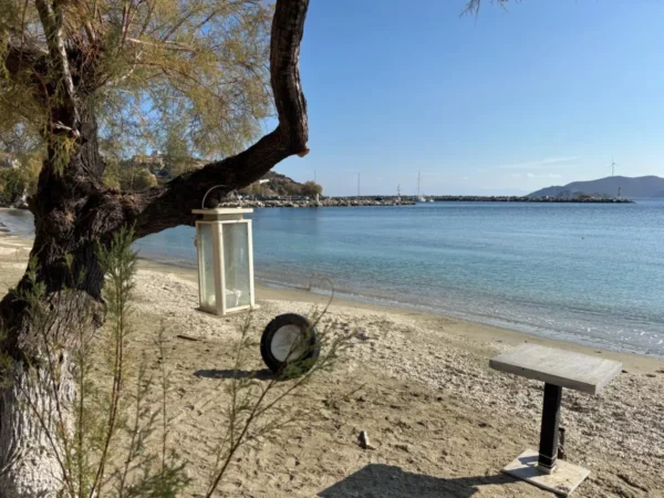 Calm beach of agioi apostoloi village in east evia
