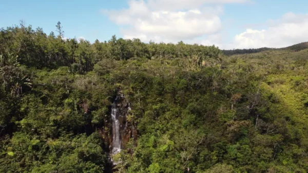 Vue par drone de la cascade orientale d’Alexandra à l’île Maurice