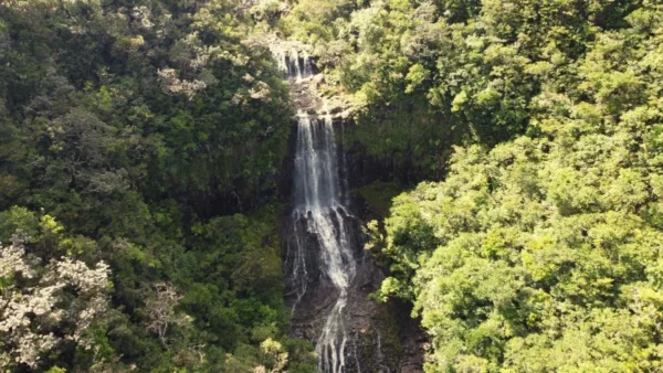 La cascade occidentale d’Alexandra à l’île Maurice, vue par drone