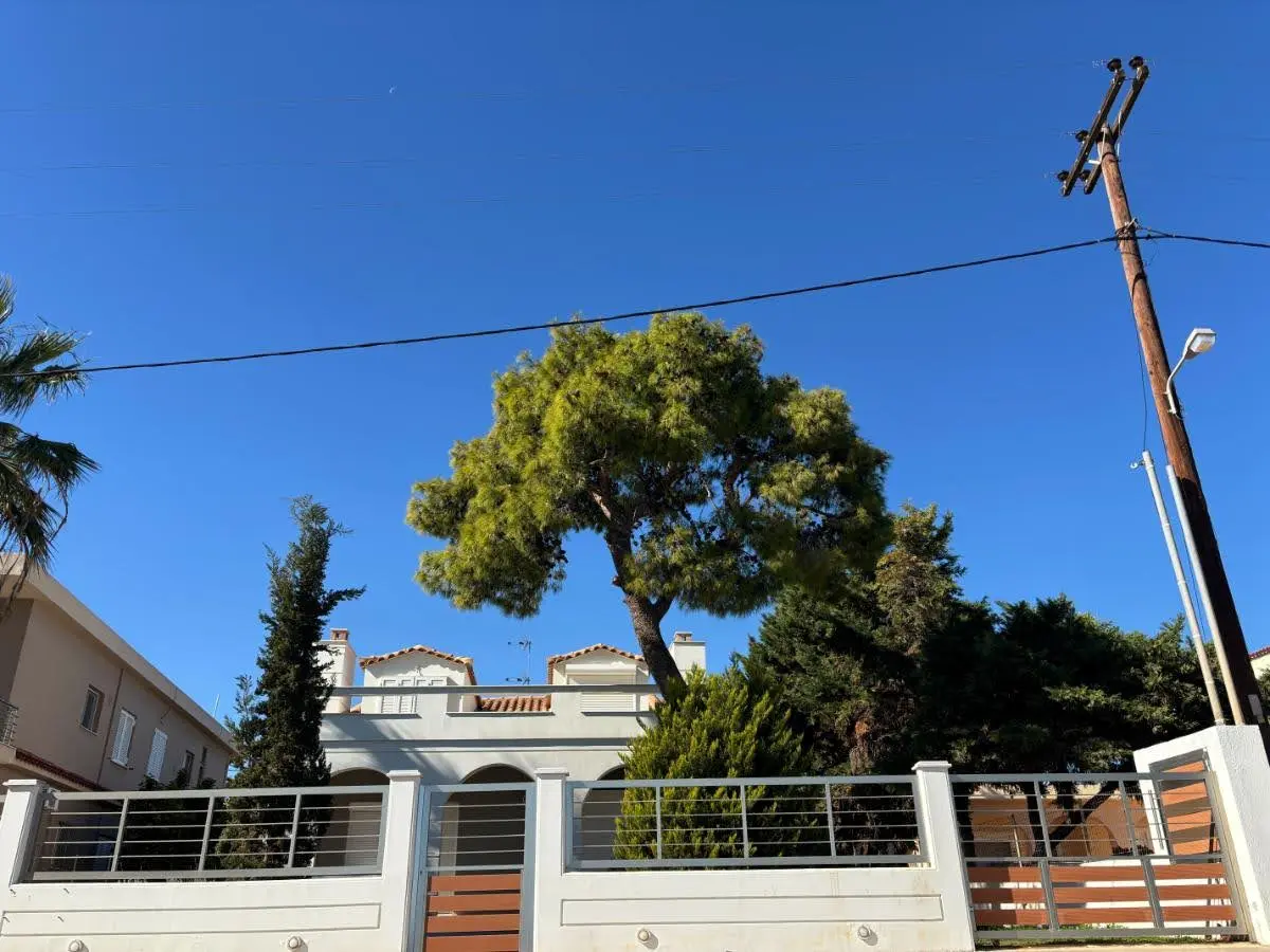 Nice beachfront property with pine and cypress tree in Avlida, evia island