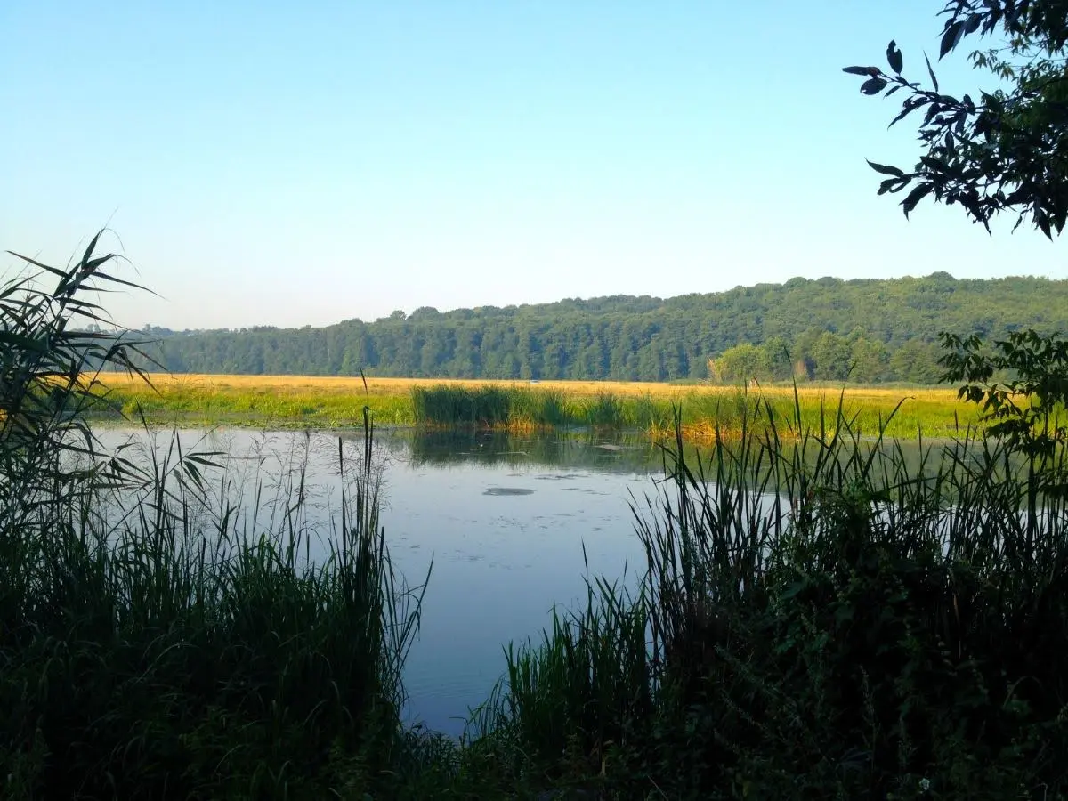 ουκρανικη φυση