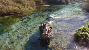 Blue Eye, Vlora County, Albania (2021) - Photos