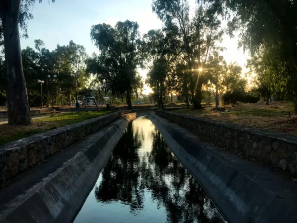 Tranquil waterway reflecting trees in Chalkis, Euboea, Greece, surrounded by lush greenery and soft evening light.