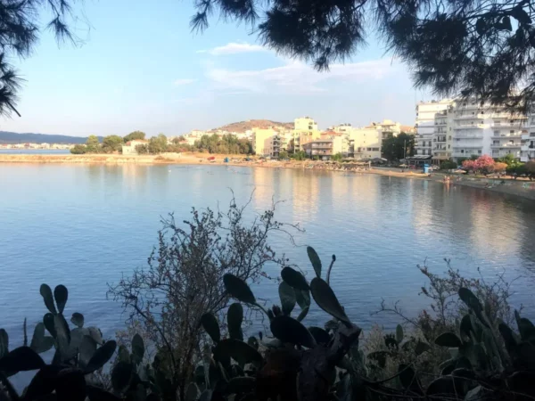 Calm waters reflect the pastel buildings and trees along the shoreline in Chalkis, Euboea, Greece. Cacti frame the view.
