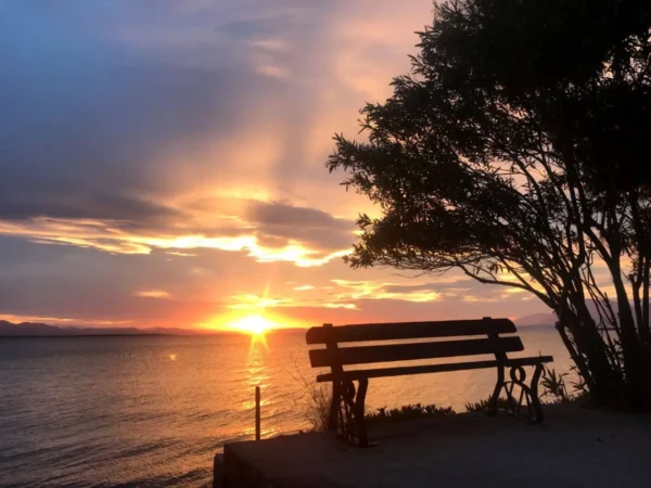 Stunning sunset over the water in Chalkis, Euboea, Greece, with a silhouetted bench and tree framing the scene.