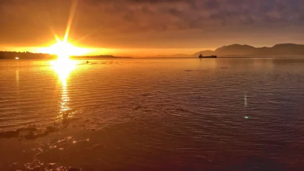 Golden sunrise over the tranquil waters of Chalkis, Euboea, Greece, with silhouettes of distant hills and a lone boat.
