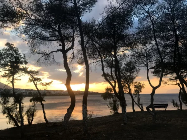 Golden sunset reflecting on the water, framed by silhouetted trees along the shore in Chalkis, Euboea, Greece.