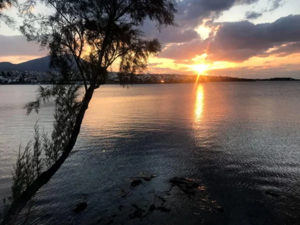 Sunset reflections over calm waters in Chalkis, Euboea, with silhouetted trees against a colorful sky.