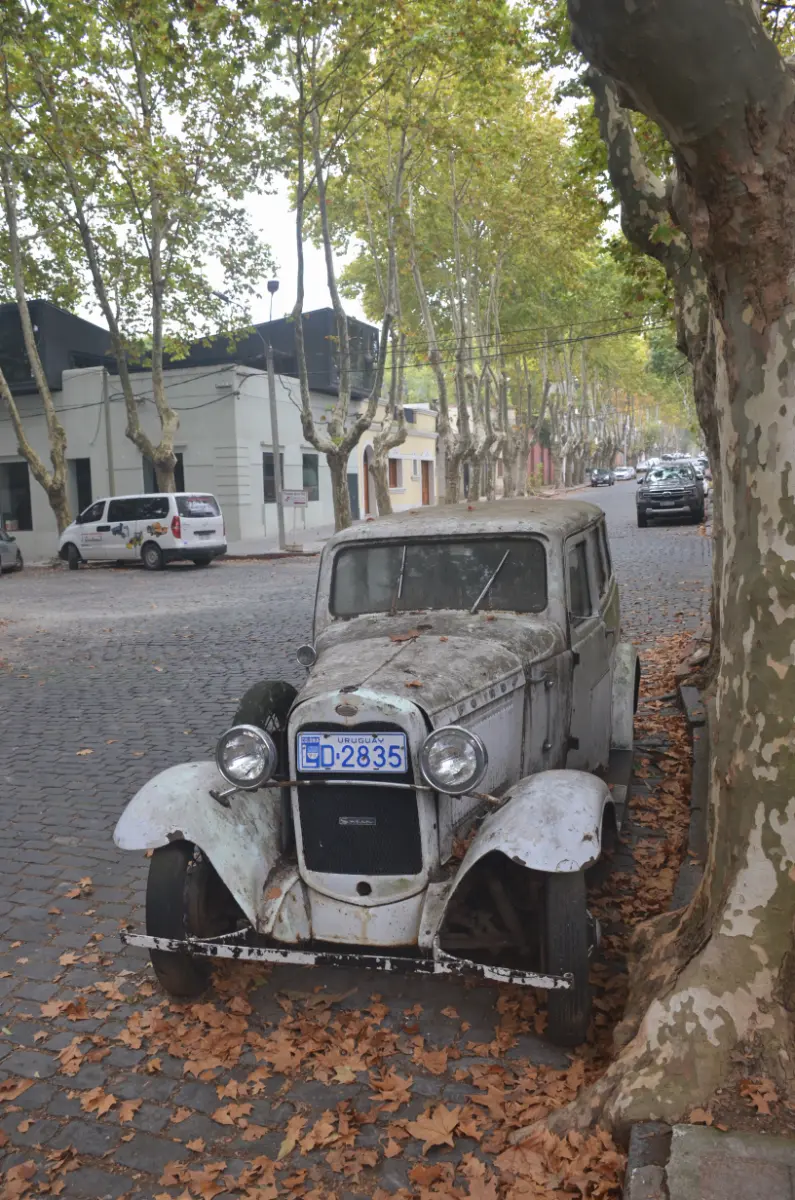 vintage car in cobbled street with fallen autumn leaves in colonia del sacramento, uruguay