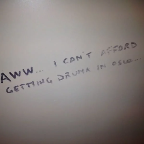 i can't afford getting drunk in oslo message written in in a norwegian toilet