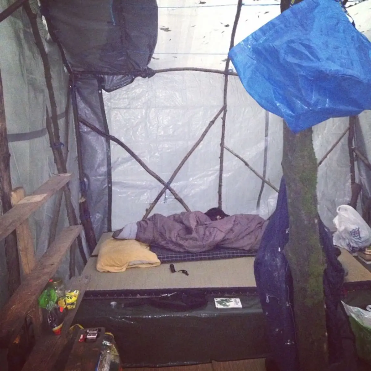 εσωτερικό καλύβας από μουσαμά στο δάσος