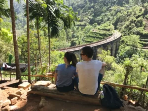 Nine Arch Bridge, Ella, Uva, Sri Lanka (2019) - Photos