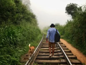 Ella Rock, Uva, Sri Lanka (2019) - Photos