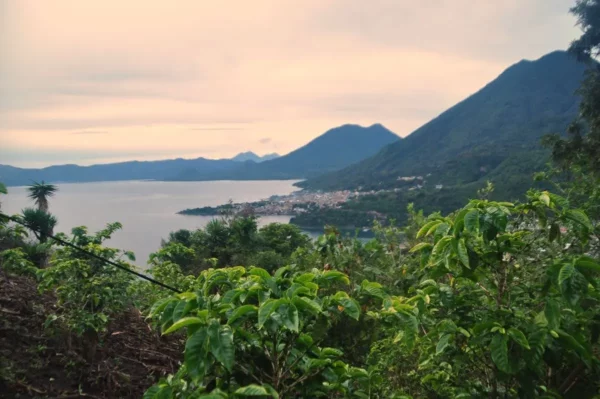 Stunning view of Lake Atitlán framed by lush greenery and mountains under a cloudy sky in Guatemala.