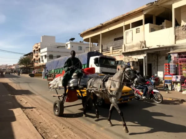 Ζωήλατα και μηχανοκίνητα μοιραζόμενα τους δρόμους του Καολάκ