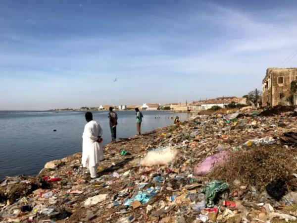 Ο ποταμός Σαλούμ δεν ενδείκνυται για μπανάκι καολάκ σενεγάλη